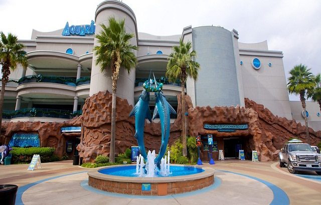 “Lạc” vào thủy cung Trung tâm thành phố Houston