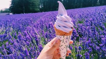 Đài Trung – điểm đến hấp dẫn nhất năm 2017