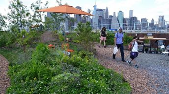 Swale – khu vườn “độc nhất vô nhị” ở New York