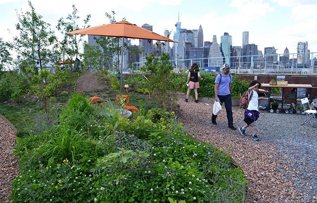 Swale – khu vườn “độc nhất vô nhị” ở New York