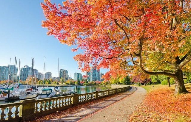 Theo chân người dân khám phá công viên Staney ở Vancouver