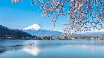 Kinh nghiệm chinh phục biểu tượng xứ hoa anh đào