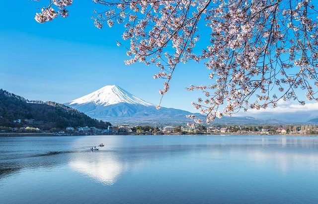 Kinh nghiệm chinh phục biểu tượng xứ hoa anh đào