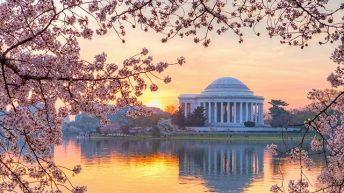 Làm sao để chuyến du lịch đến Washington hoàn hảo nhất?