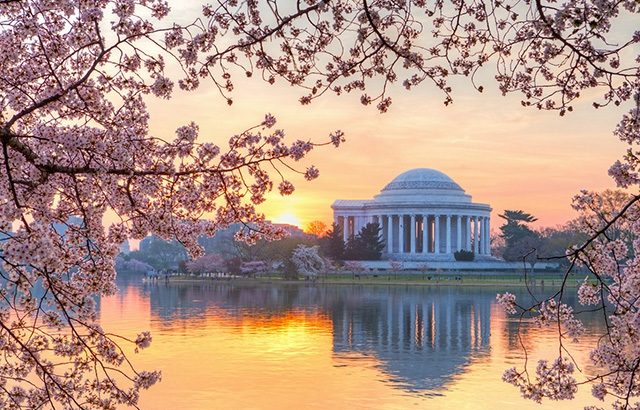 Làm sao để chuyến du lịch đến Washington hoàn hảo nhất?