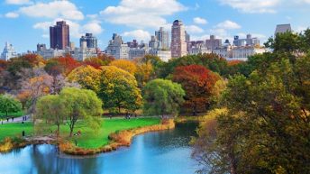 Các điểm tham quan hấp dẫn ở New York