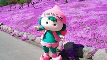 Những trải nghiệm tuyệt vời khi đến Hokkaido vào mùa xuân