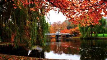 Những trải nghiệm thú vị dành cho cặp đôi khi đến thăm Boston